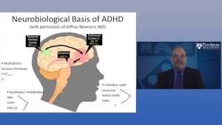 The Neurobiology of ADHD [upl. by Erma]