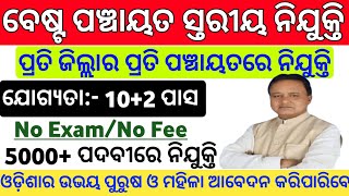 Odisha Panchayat Level Jobs in Odisha  Odisha Panchayat Level Govt Jobs  10th Pass Govt Jobs 2024 [upl. by Einahpets]