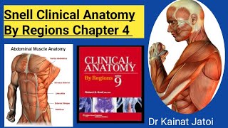 Snell Clinical Anatomy By Regions Chapter 4 The Abdomen Lecture 1 [upl. by Supple4]