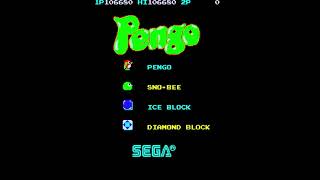 ペンゴ Pengo AC 1982 セガ SEGA アーケード [upl. by Ataynek]