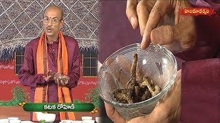 కటక రోహిణితో ఔషధ గుణాలు  Benefits of PicrorhizakurroaKutki  Veda Vaidhyam  Hindu Dharmam [upl. by Aicinod]