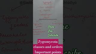 ZygomycotaImportant pointsordersclasses [upl. by Nivek]