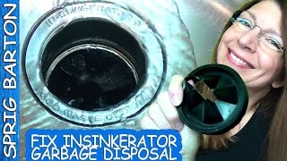 How to REPLACE GARBAGE DISPOSAL GARBAGE DISPOSER amp GASKET Insinkerator Sprig Barton InSinkErator [upl. by Ener]