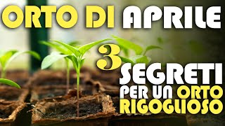 ORTO di APRILE  3 SEGRETI per un ORTO RIGOGLIOSO [upl. by Skip712]