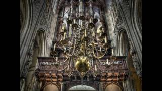 Sint Jan Den Bosch [upl. by Utham]