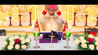 Holy Mass October 23 Monday 530 AM I Malayalam I Syro Malabar I Fr Bineesh Augustine [upl. by Oedama13]