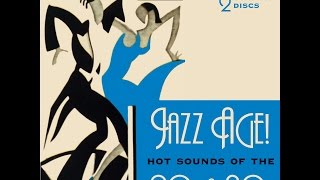 Jazz Age Hot Sounds Of The 1920s amp 30s Some of Americas Finest Jazz Performances Past Perfect [upl. by Patton]