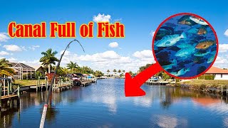 Fishing Backyard Canal FULL of Fish  Rotonda Florida [upl. by Granoff948]