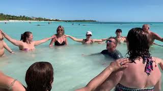 Catalonia Royal Tulum  Adults Only  All Inclusive ноября 2019 г Cancún  Tulum Мексика [upl. by Kronick371]