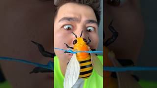 a hornet bit me on the nose 👃😂 [upl. by Teryl]