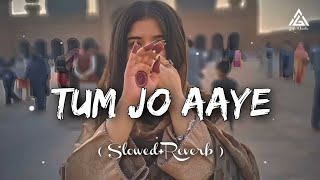 Tum Jo Aaye SlowedReverbRahat Fateh Ali Khan  Textaudio Lyrics MY LOFI SONG [upl. by Sanferd]