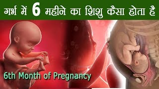 6 month of Pregnancy Baby Development गर्भावस्था का छठा महीना शिशु का विकास और वजन [upl. by Ettezzus]