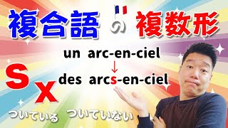 【フランス語🇫🇷】複合語の複数形のルールについて♯482 [upl. by Entroc]