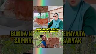 Bunda nila kaget ternyata sapinya mas iyun banyak bundanila masiyun [upl. by Autumn]