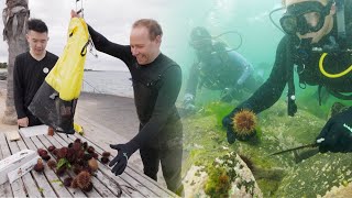 Preparing and eating Sea urchins Freshly caught from the ocean [upl. by Hayyim]