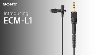 Introducing the Sony ECML1 Lavalier Microphone [upl. by Werdma143]