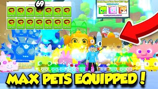 I Got MAX PETS EQUIPPED In Pet Simulator 99 [upl. by Aronoel721]