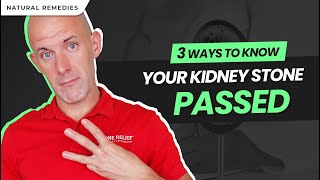 3 Ways to Tell If Your Kidney Stone Passed [upl. by Nilde]