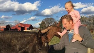 Rory Feek Returns Home to Tennessee Prepares to Bury Joey [upl. by Nosreve]