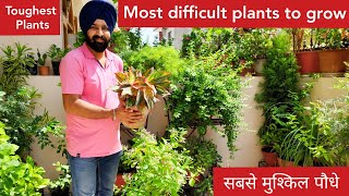 Top 10 toughest plants to grow common houseplants names जल्द मरने वाले पौधे easy to kill plants [upl. by Nali439]