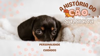 A história personalidade e cuidados do amado Dachshund o “cão salsicha” [upl. by Affay]