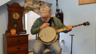 Washburn B120 Banjo Review [upl. by Rhpotsirhc750]