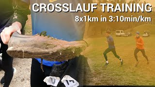 Crosslauf Training 8x1km in 310minkm I Vorbereitung auf die Cross Europameisterschaft [upl. by Sumaes272]