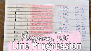 PREGNANCY TEST LINE PROGRESSION 2020  12DPO21DPO [upl. by Ennazzus954]