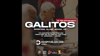 Proliga  Clube dos Galitos vs Sporting Clube Braga [upl. by Tati]