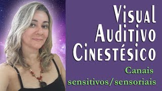 Visual Auditivo Cinestésico  Canais sensitivossensoriais  PNL e MEDITAÇÃO [upl. by Ynattirb]