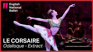 Le Corsaire Odalisque with Alison McWhinney extract  English National Ballet [upl. by Aiz527]