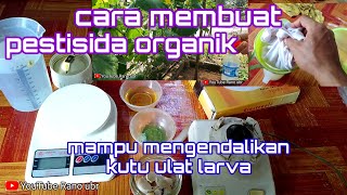 cara membuat pestisida organik mampu mengendalikan serangga kutu ulat larva [upl. by Nuawaj338]