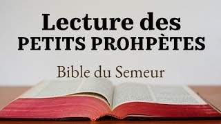 LES PETITS PROPHÈTES Bible du Semeur [upl. by Farly652]