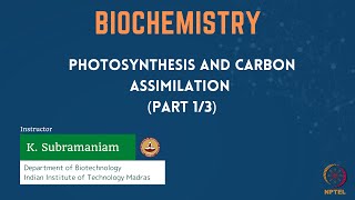 Photosynthesis and Carbon assimilation Part 13 [upl. by Hildegarde459]