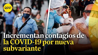 Subvariante JN1 de la COVID19 ya está en Perú ¿Cómo protegernos [upl. by Elohcin]