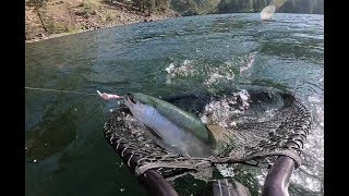 Kokanee Fishing in Okanogan Valley [upl. by Kerat]