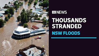 Rooftop rescues and flash flooding after intense storms hit NSW  ABC News [upl. by Aliab]