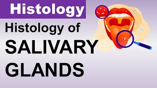 Inderbir Singh Histology Chp14  Histology of SALIVARY GLANDS  Dr Asif Lectures [upl. by Derfniw]