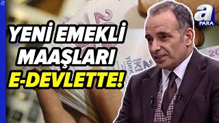 Yeni Emekli Maaşları EDevlette Fazla Görünen Miktar Ne Anlama Geliyor Faruk Erdem Yanıtladı [upl. by Ayikat]