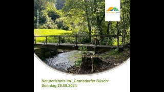 20240929 Wanderwoche Südeifel Gransdorfer Büsch [upl. by Enyaw]