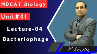 Bacteriophage  Lytic Cycle  Lysogenic Cycle  MDCAT  NUMS [upl. by Nims]