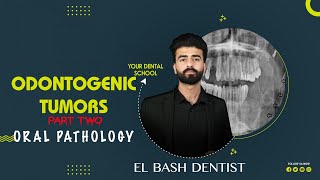 odontogenic tumors  part 2  oral pathology عزت شومان [upl. by Kcyred]