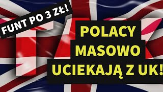 Zapaść Cen Domów 149 Upadek Cen Nieruchomości w UK [upl. by Ikairik]