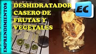 Deshidratador de frutas casero Emprendimiento rentable con baja inversion [upl. by Mareah553]