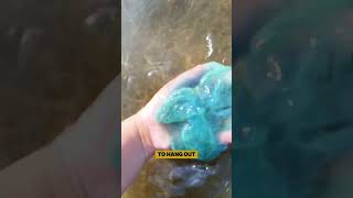 Are all Jellyfish dangerous jellyfish facts shorts seaanimals [upl. by Nas]