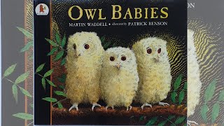 Owl Babies 1992 by Martin Waddell  PICTURE BOOKS OUR KIDS LOVED READ BY OUR KIDS [upl. by Etteneg963]