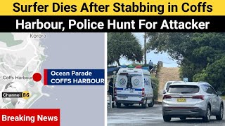 Surfer dies after stabbing in Coffs Harbour police hunt for attacker  Channel 86 Australia [upl. by Killion]