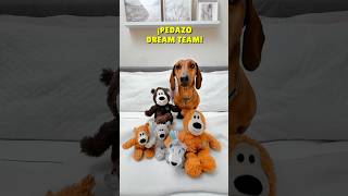 ¡SORPRESA en el pelotón 🐻💖 perrosalchicha teckel dachshund perros humor viral dog [upl. by Leonora]