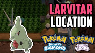 How to Catch Larvitar  Pokémon Brilliant Diamond amp Shining Pearl [upl. by Cutty45]