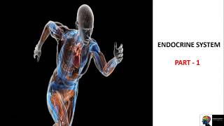 Endocrine System  ICSE Class 10th BiologyPart 1 [upl. by Reine]